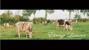 Photo 1 de l'exploitation