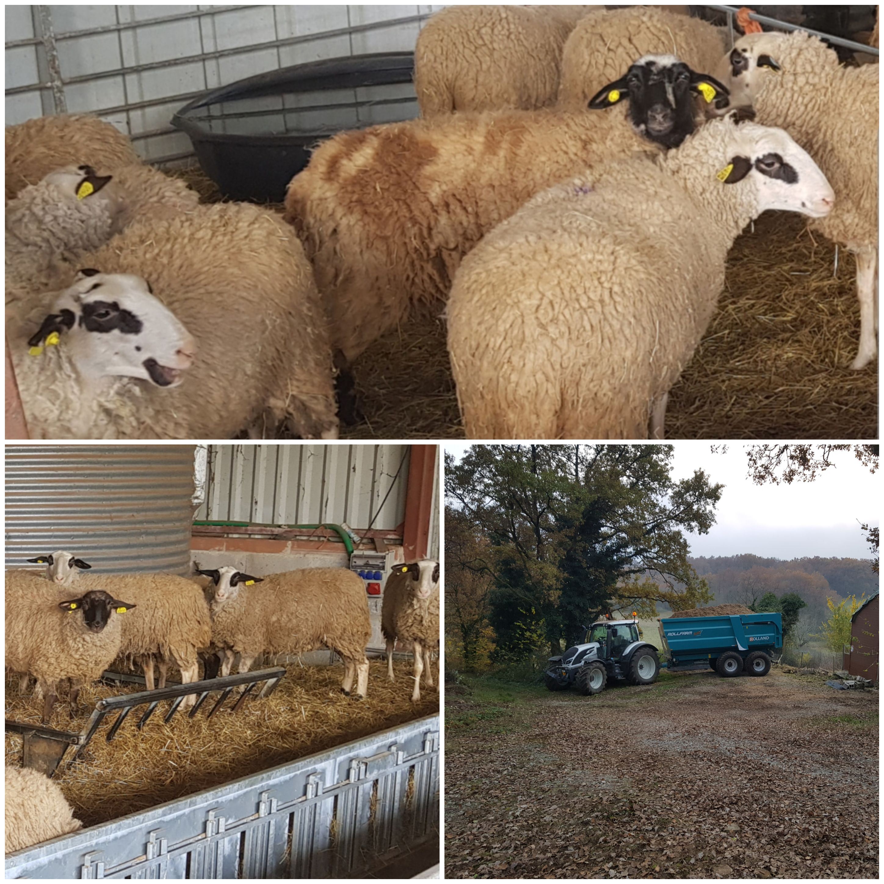 Photo 1 de l'entreprise