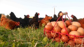 Photo 1 de l'exploitation