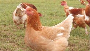 Photo 3 de l'exploitation