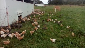 Photo 4 de l'exploitation