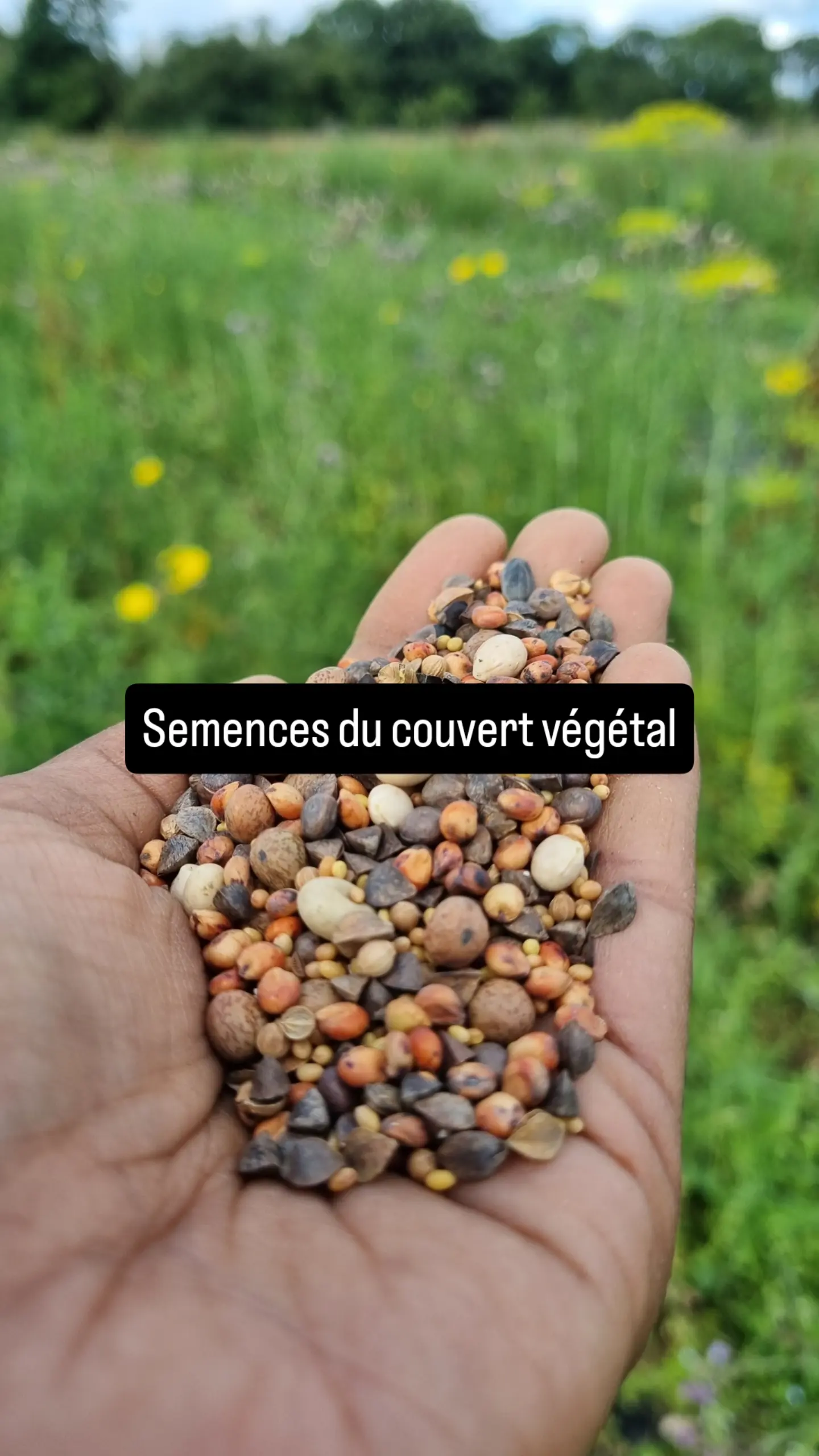 Photo 4 de l'exploitation