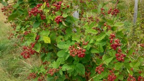 Photo 13 de l'exploitation