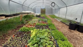 Photo 15 de l'exploitation