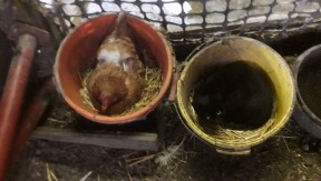 Photo 17 de l'exploitation