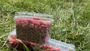 Photo 18 de l'exploitation