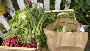 Photo 19 de l'exploitation