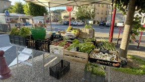 Photo 20 de l'exploitation