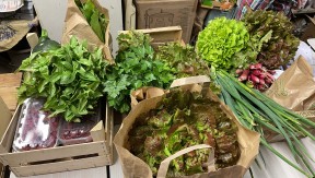 Photo 21 de l'exploitation