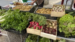 Photo 22 de l'exploitation