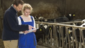 Photo 1 de l'entreprise