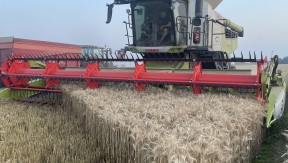 Photo 4 de l'exploitation