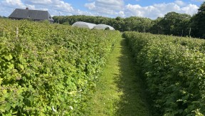 Photo 5 de l'exploitation