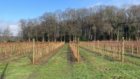 Photo 7 de l'exploitation