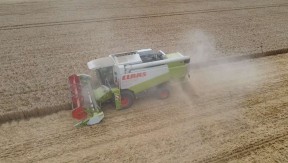 Photo 1 de l'exploitation