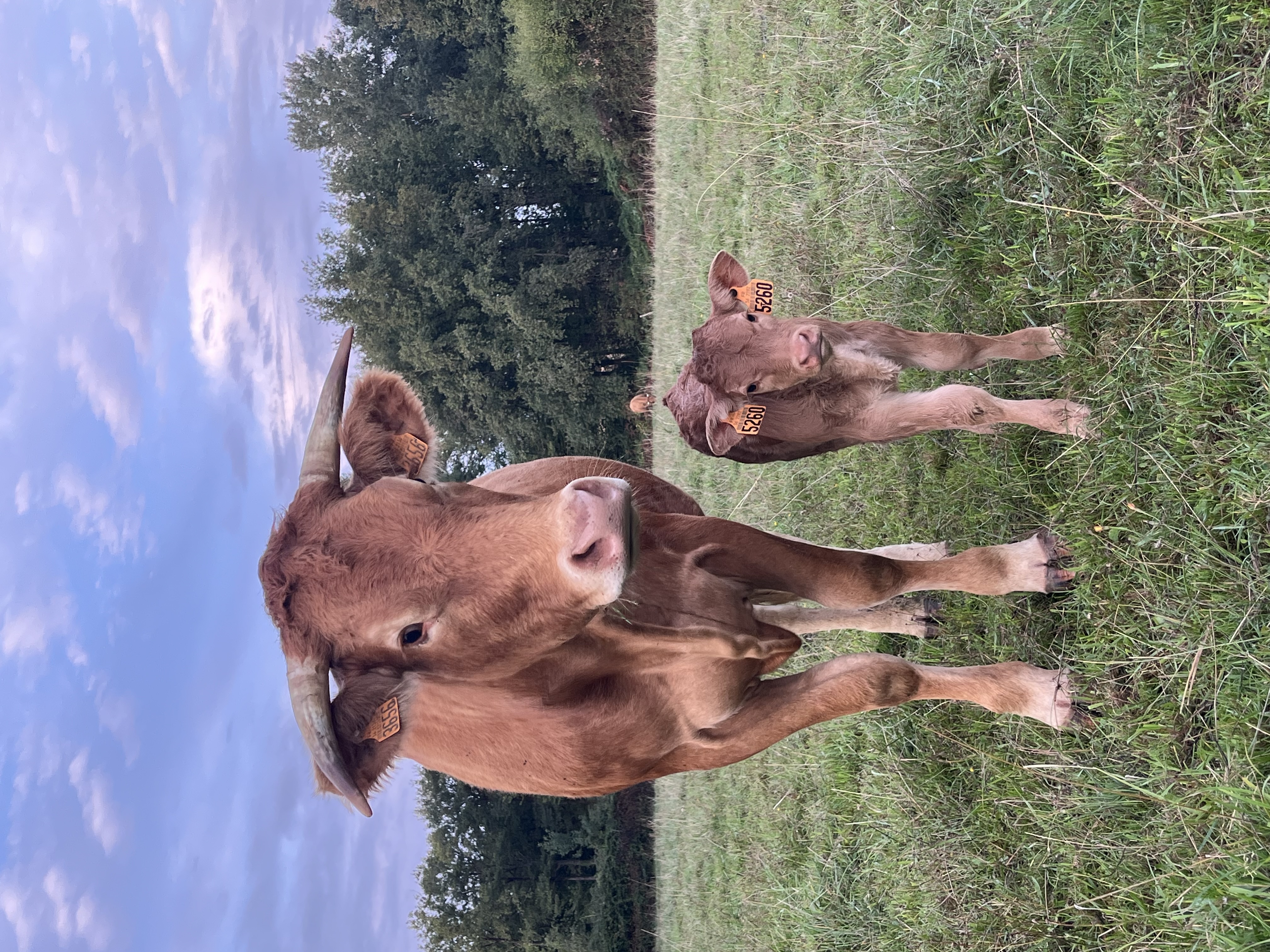 Photo 1 de l'exploitation