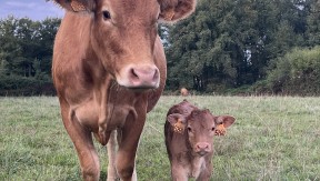 Photo 1 de l'exploitation