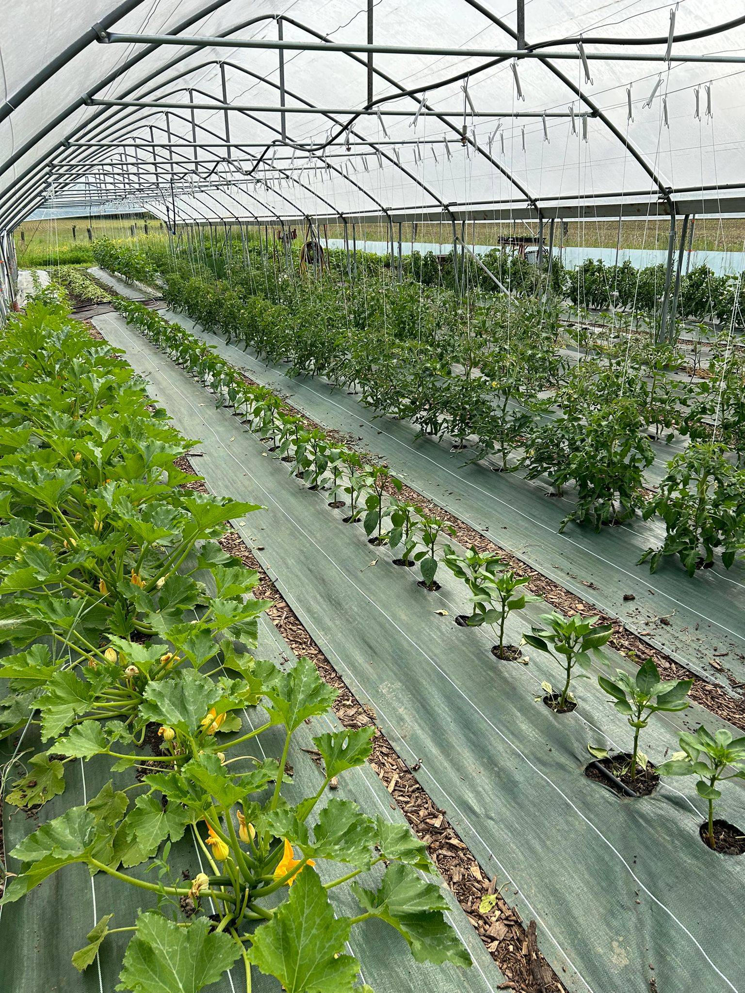 Photo 2 de l'exploitation