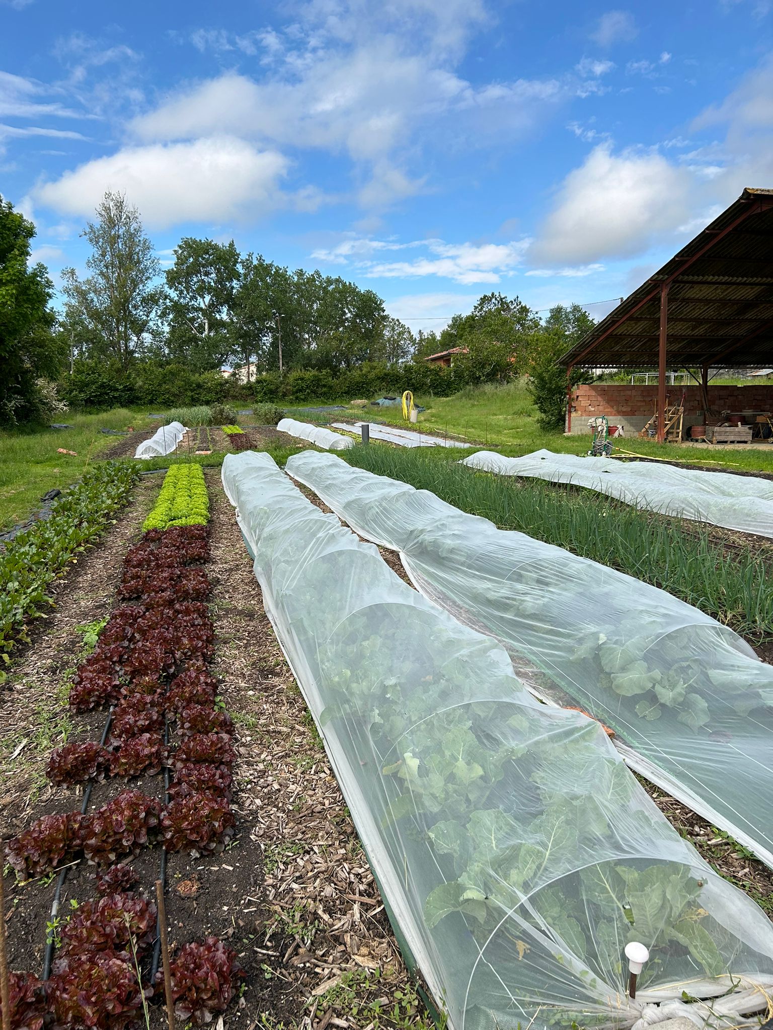 Photo 3 de l'exploitation