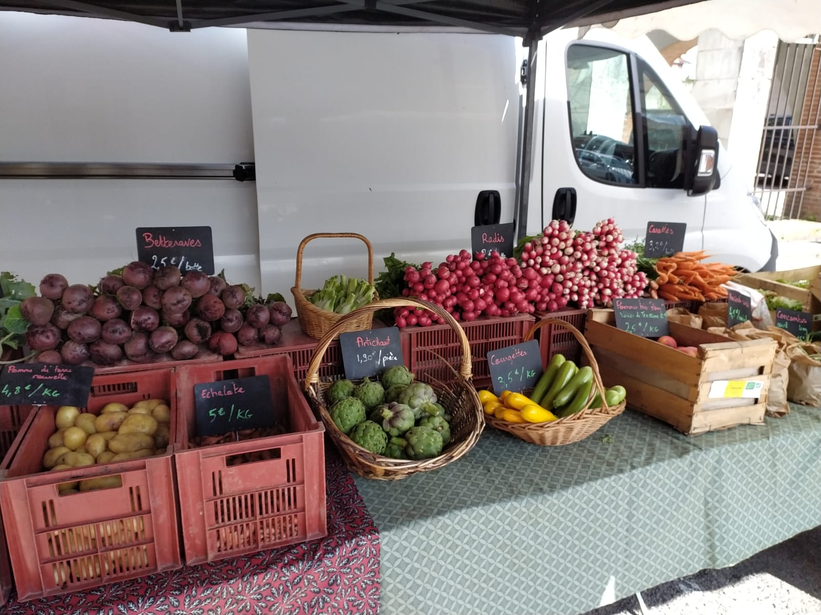 Photo 4 de l'exploitation