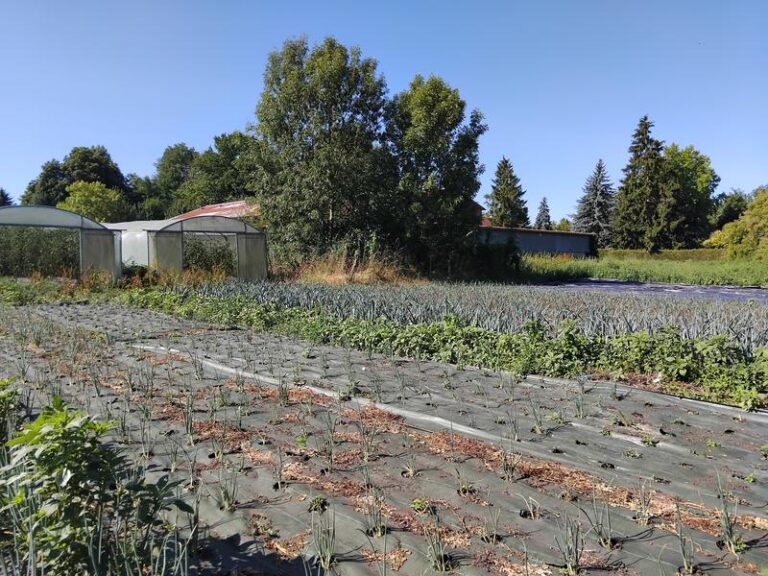 Photo 1 de l'exploitation