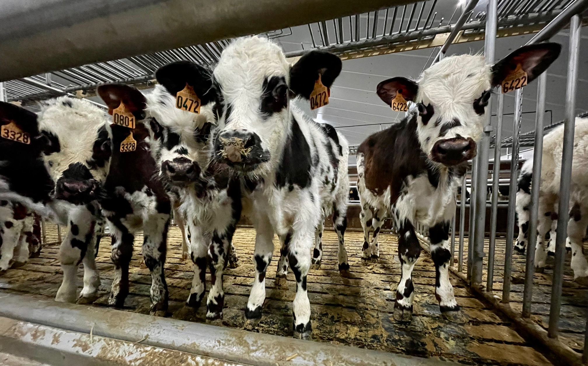 Photo 2 de l'exploitation