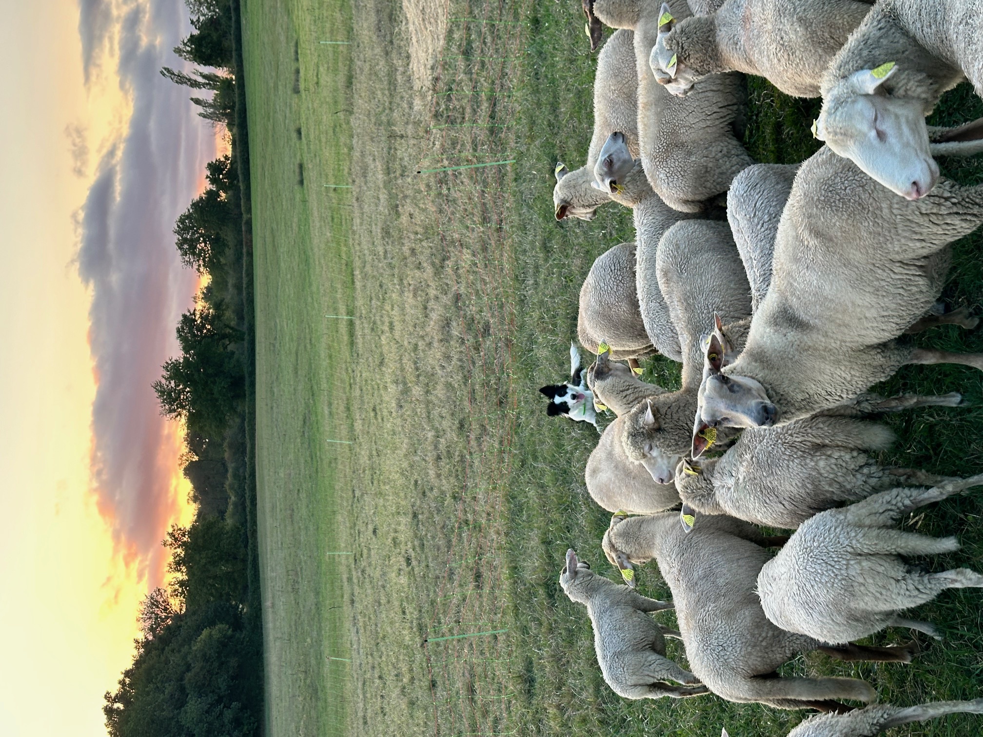 Photo 4 de l'exploitation