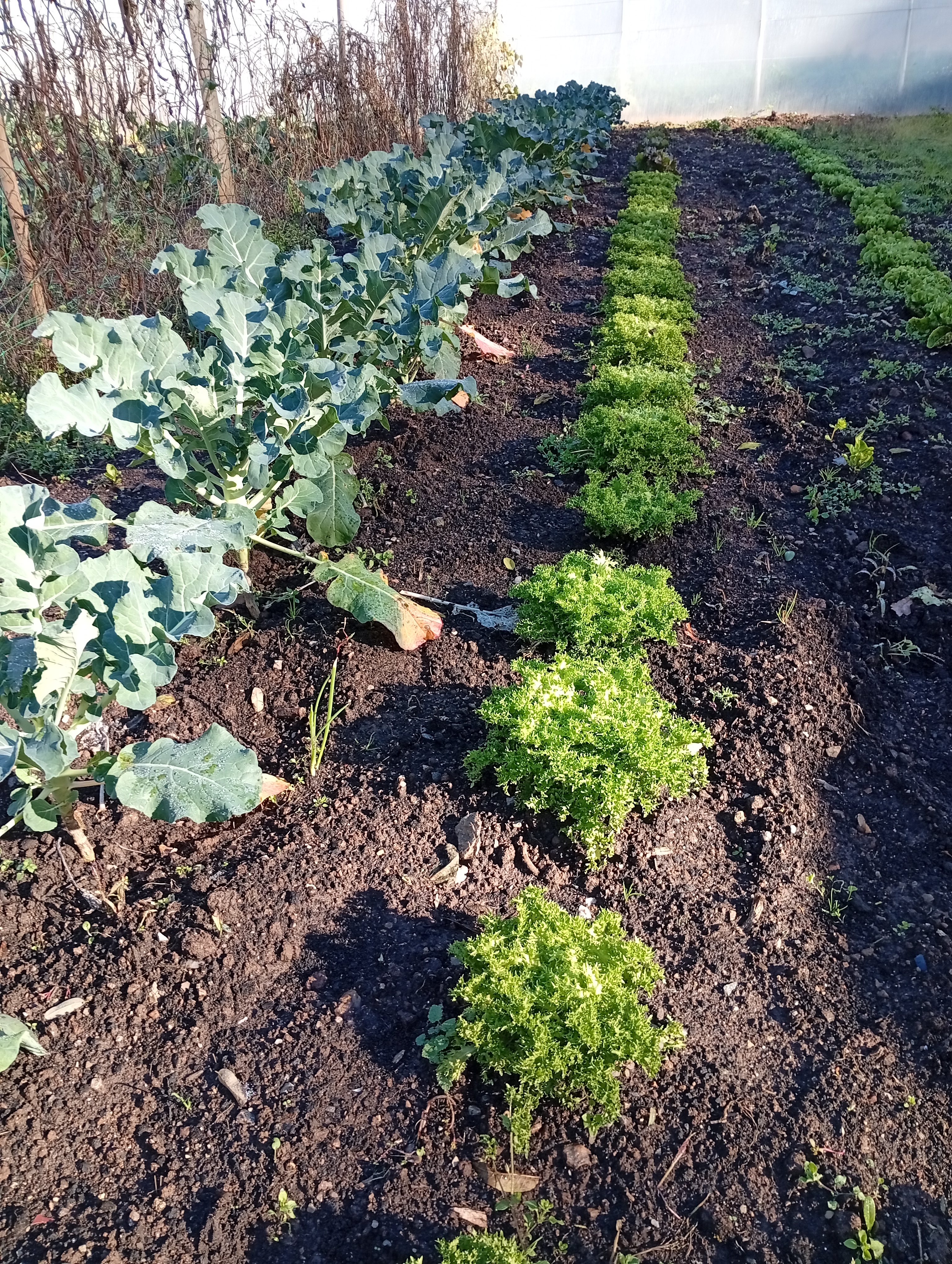 Photo 1 de l'exploitation