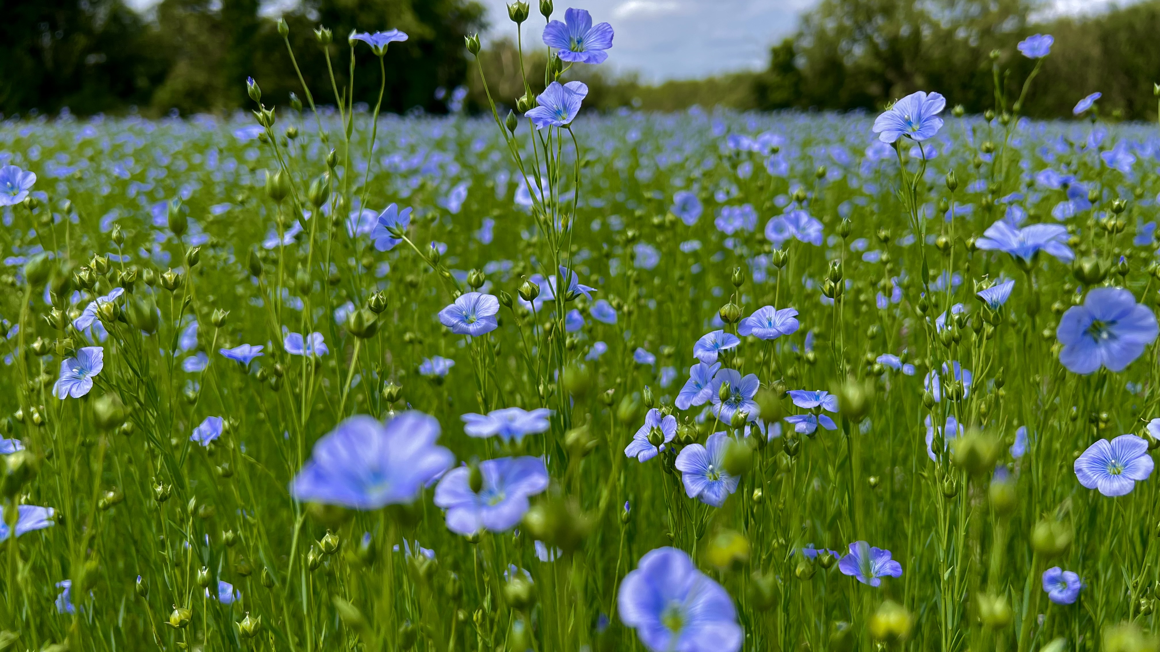 Photo 1 de l'exploitation