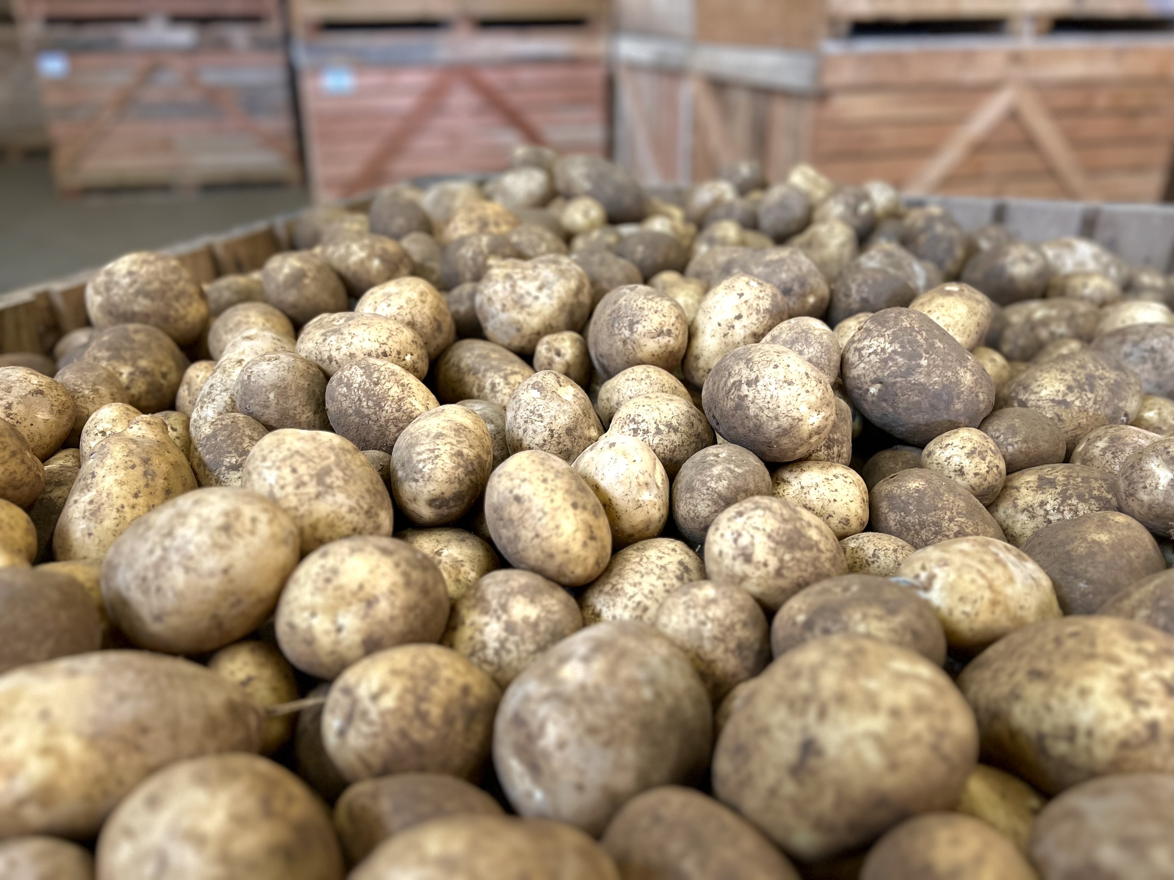 Photo 2 de l'exploitation