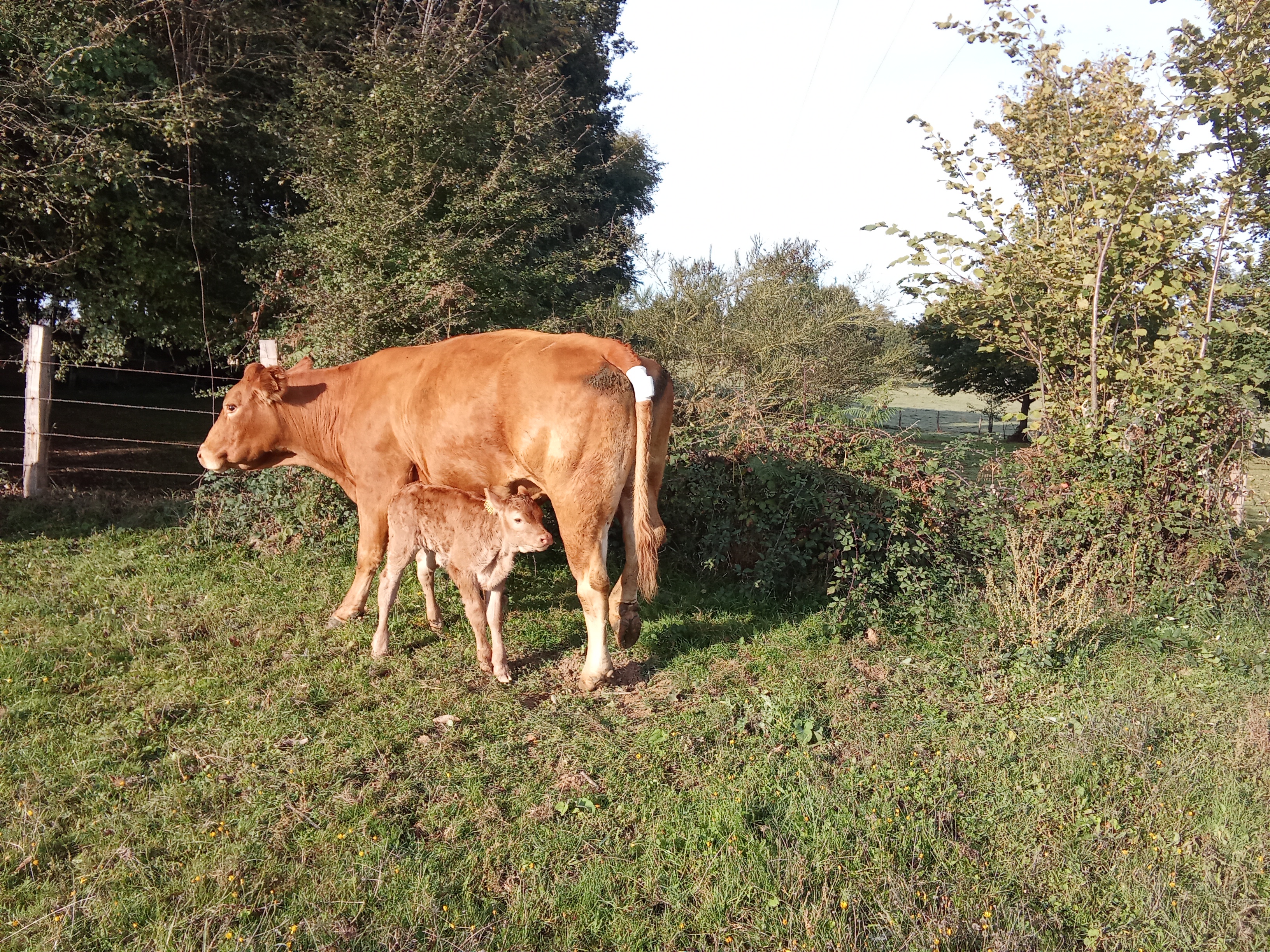 Photo 1 de l'exploitation