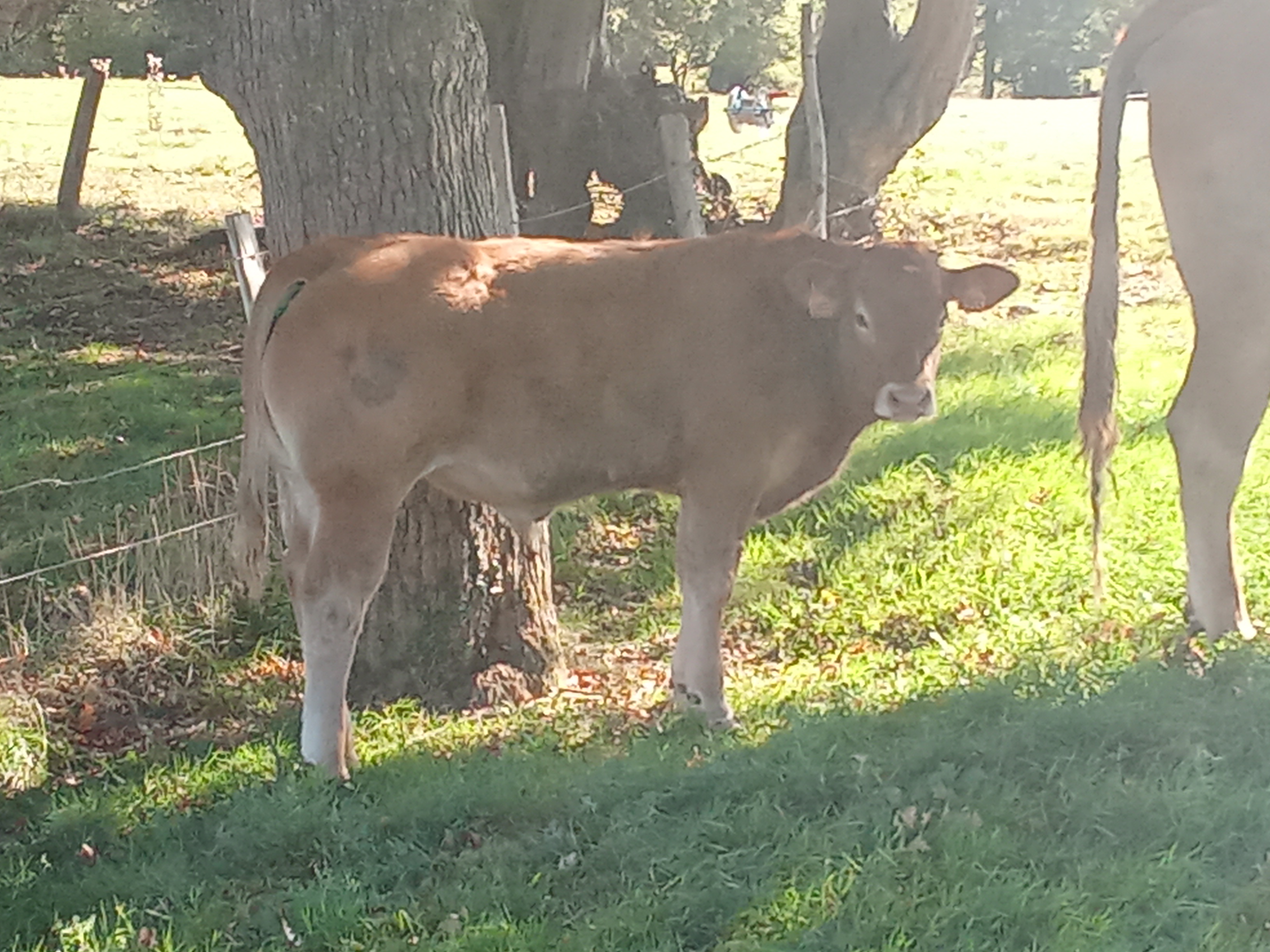 Photo 2 de l'exploitation