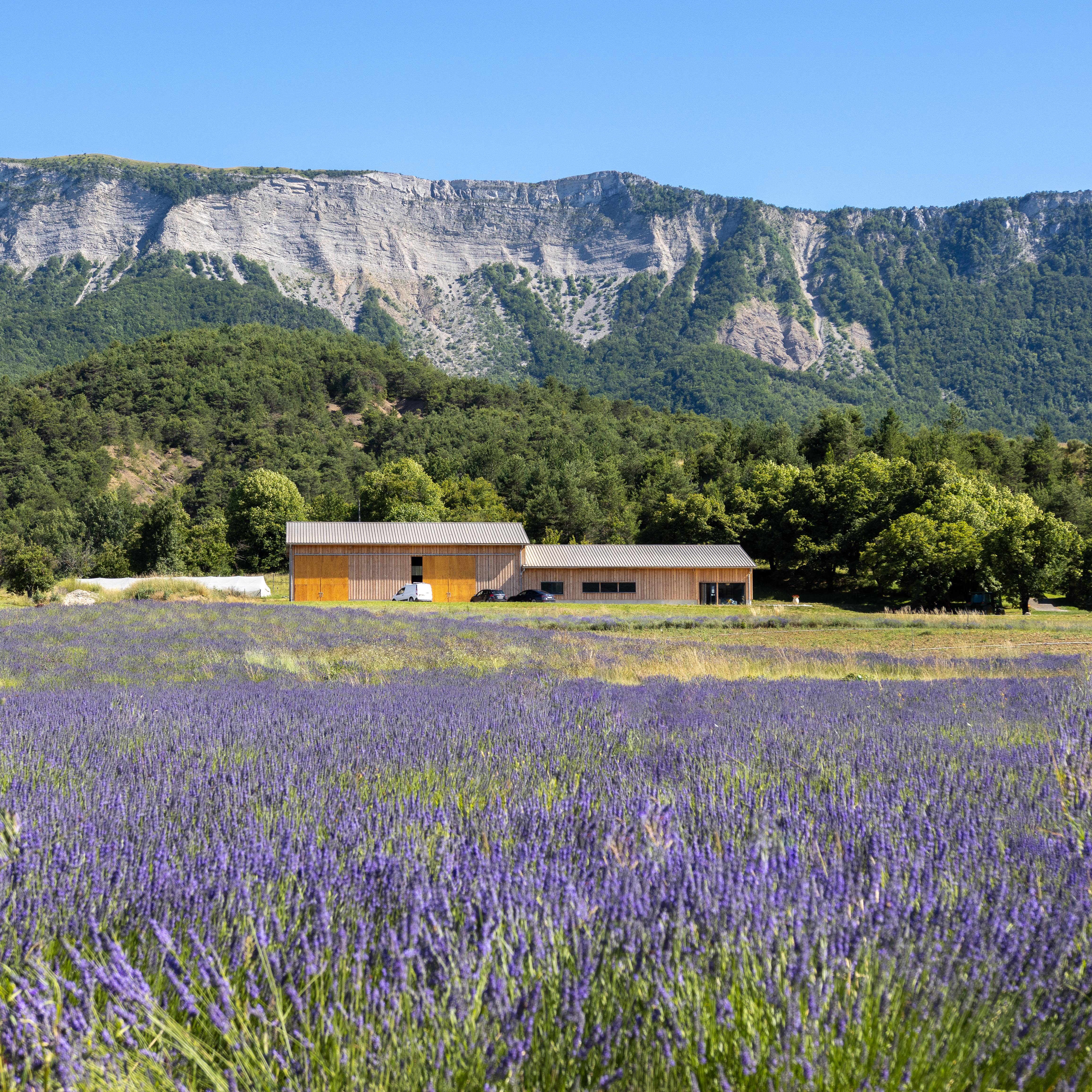 Photo 1 de l'exploitation