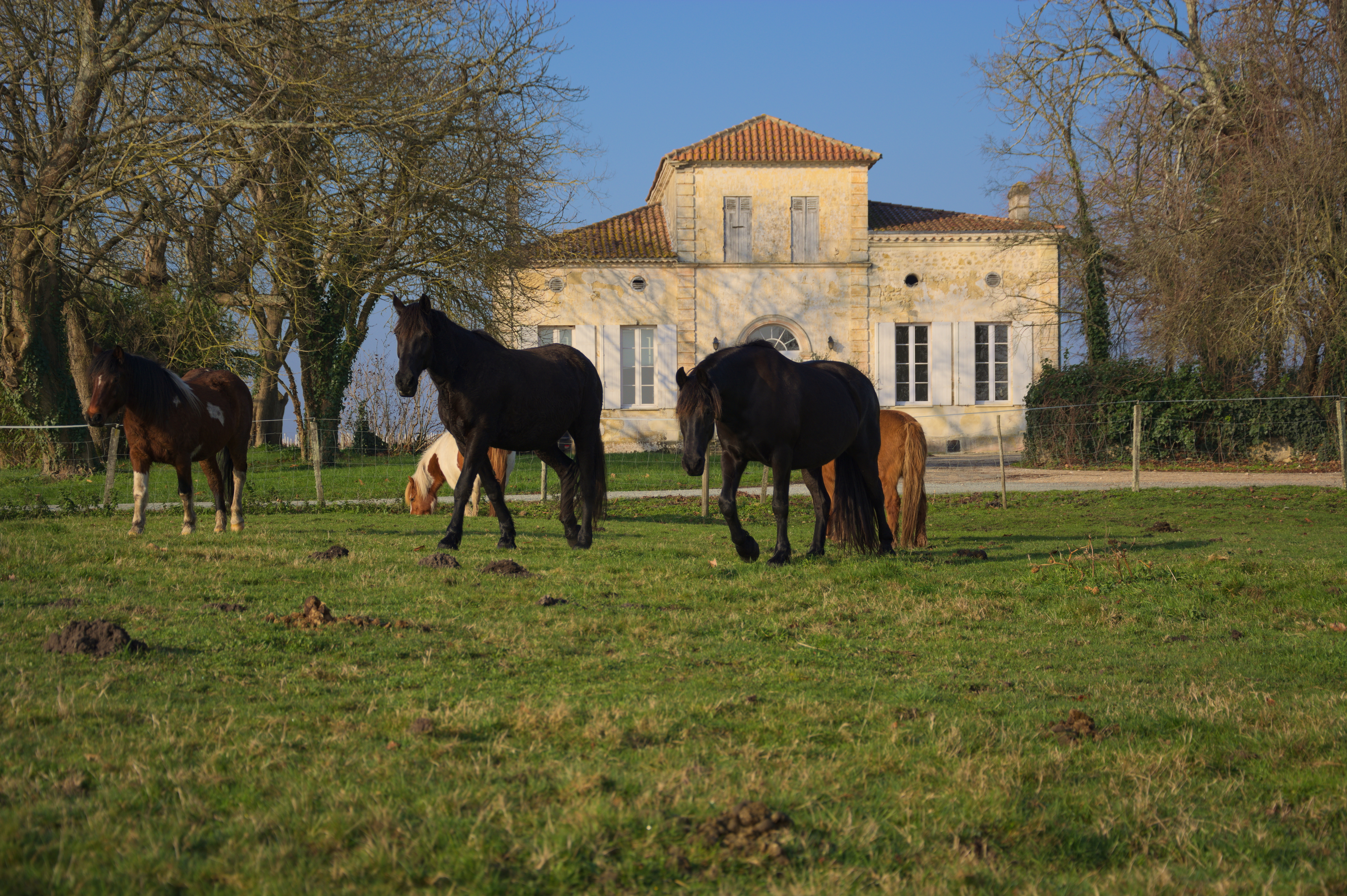 Photo 2 de l'exploitation