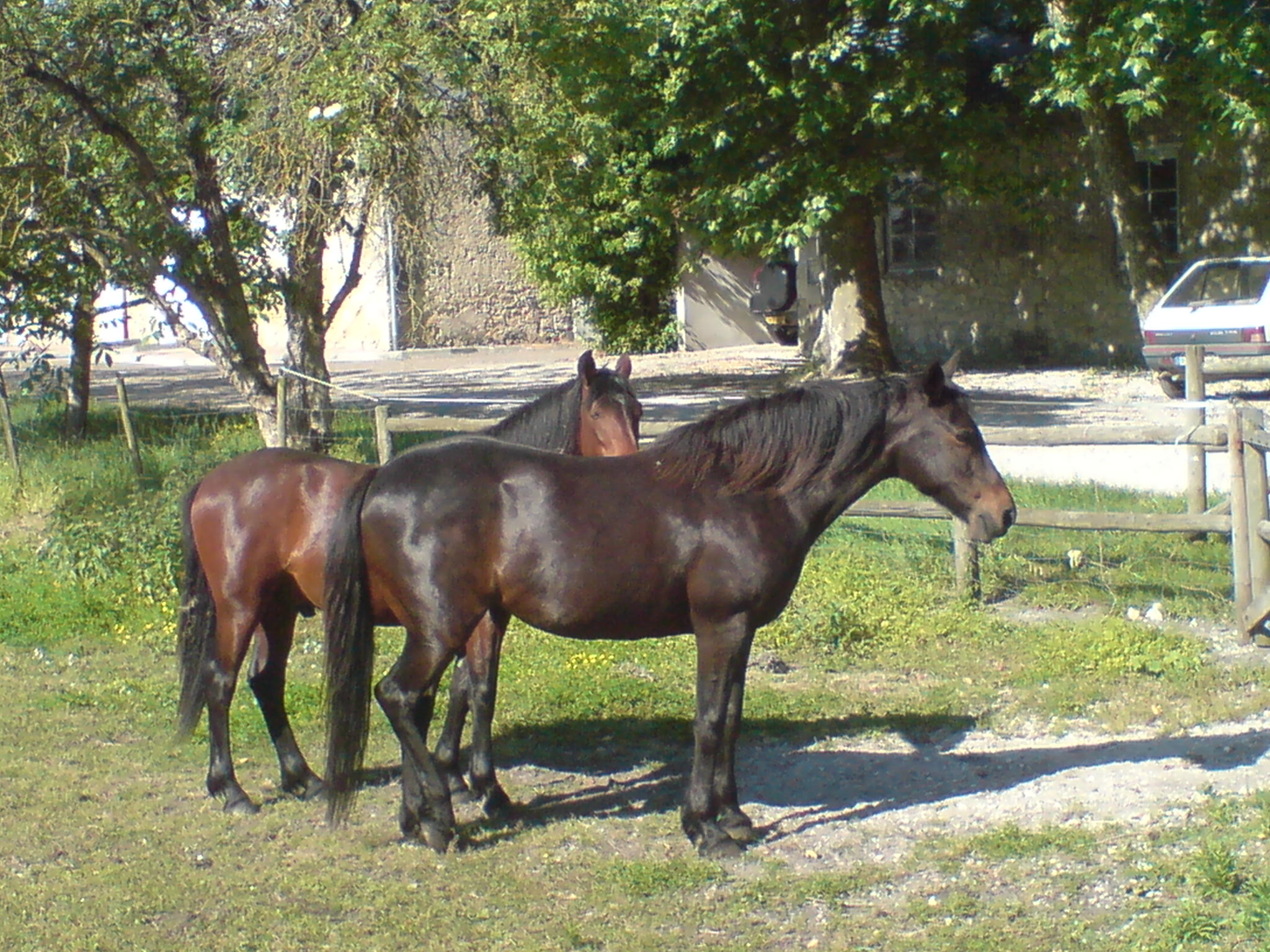 Photo 8 de l'exploitation