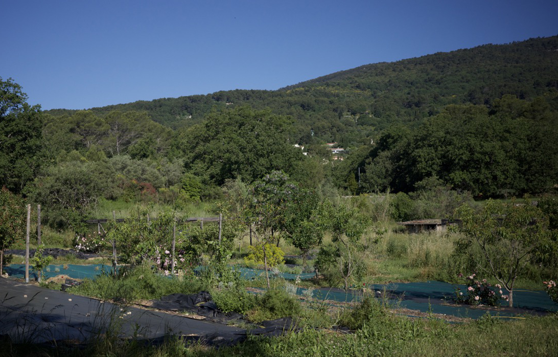 Photo 1 de l'exploitation