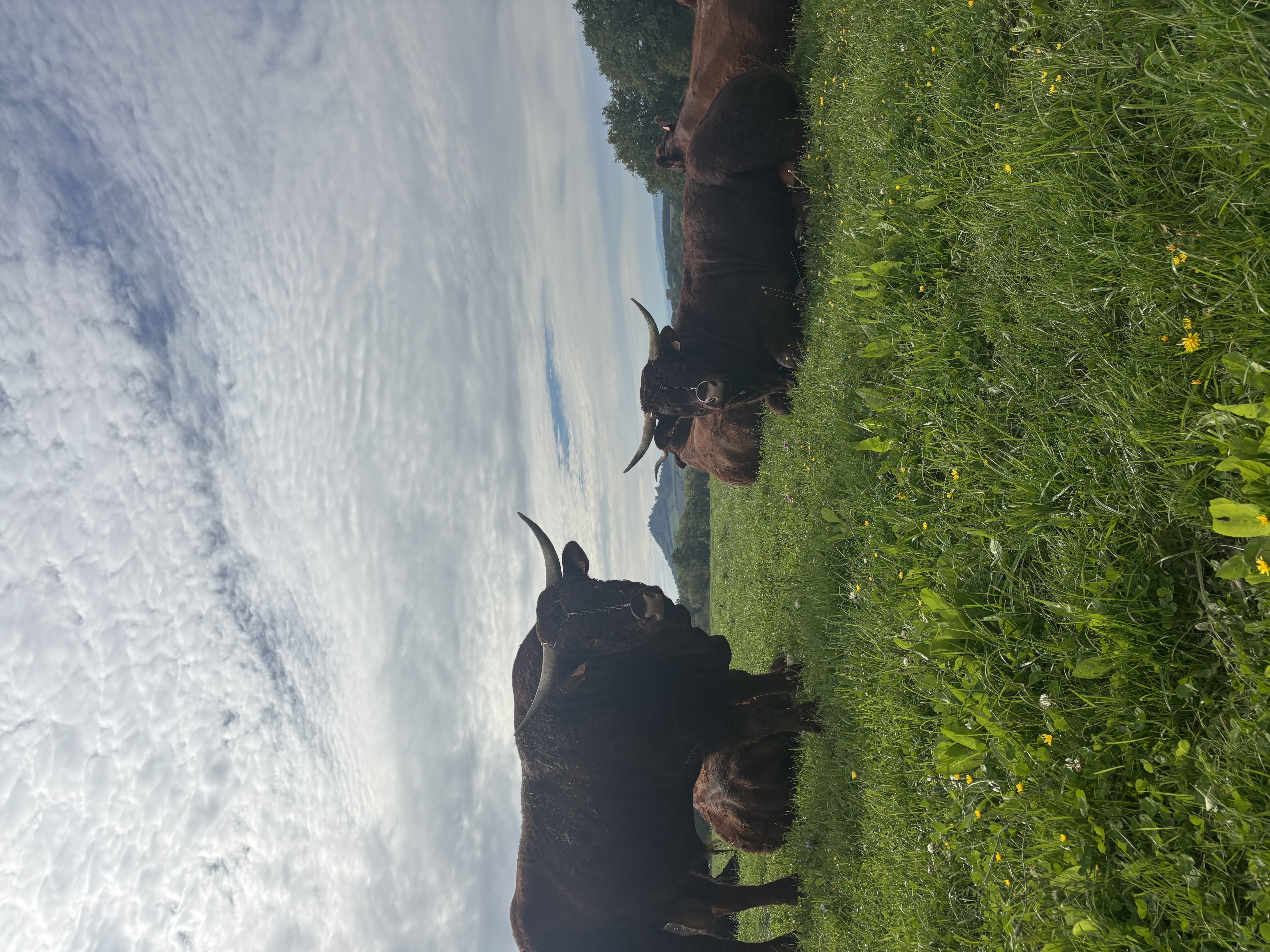 Photo 1 de l'exploitation