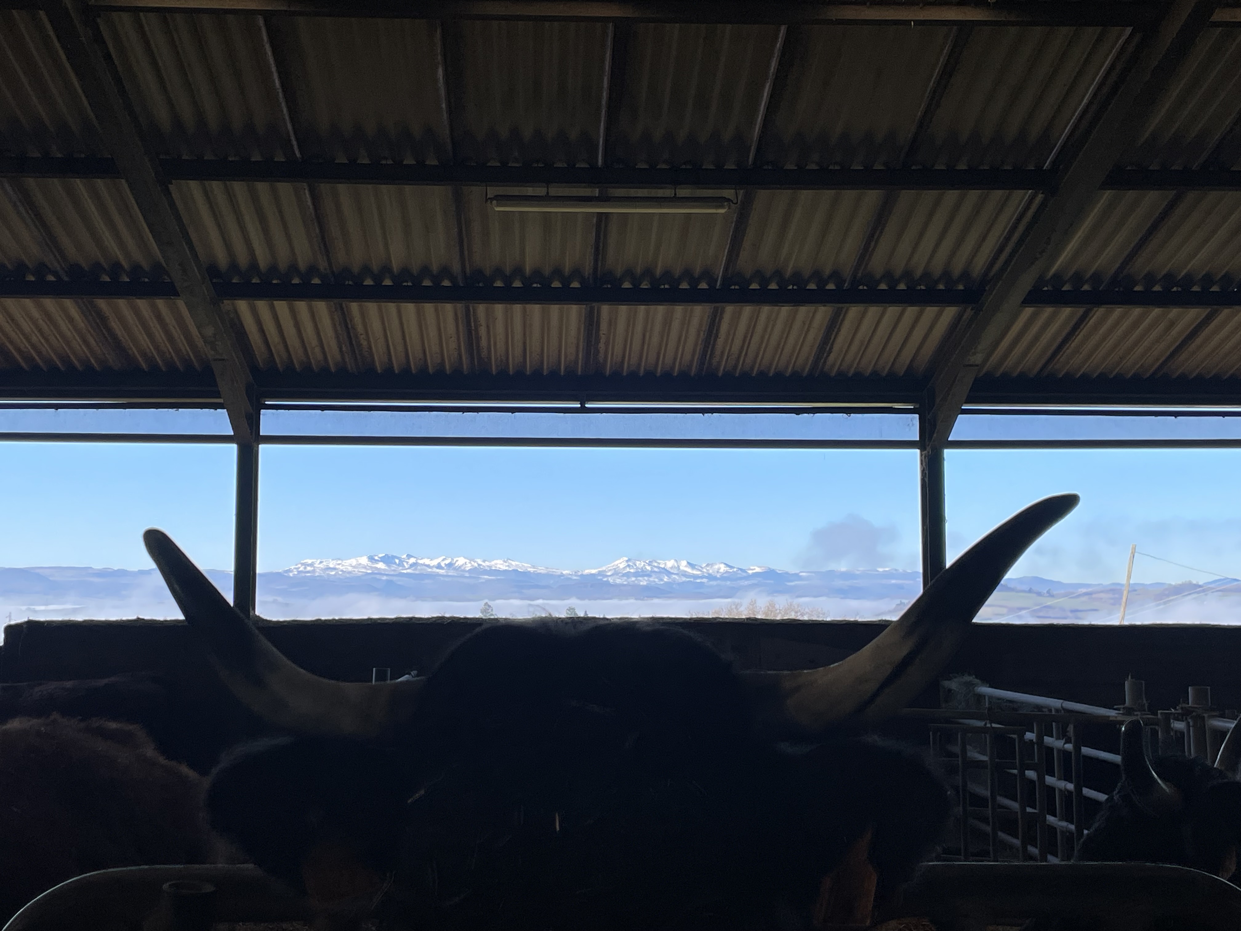 Photo 3 de l'exploitation