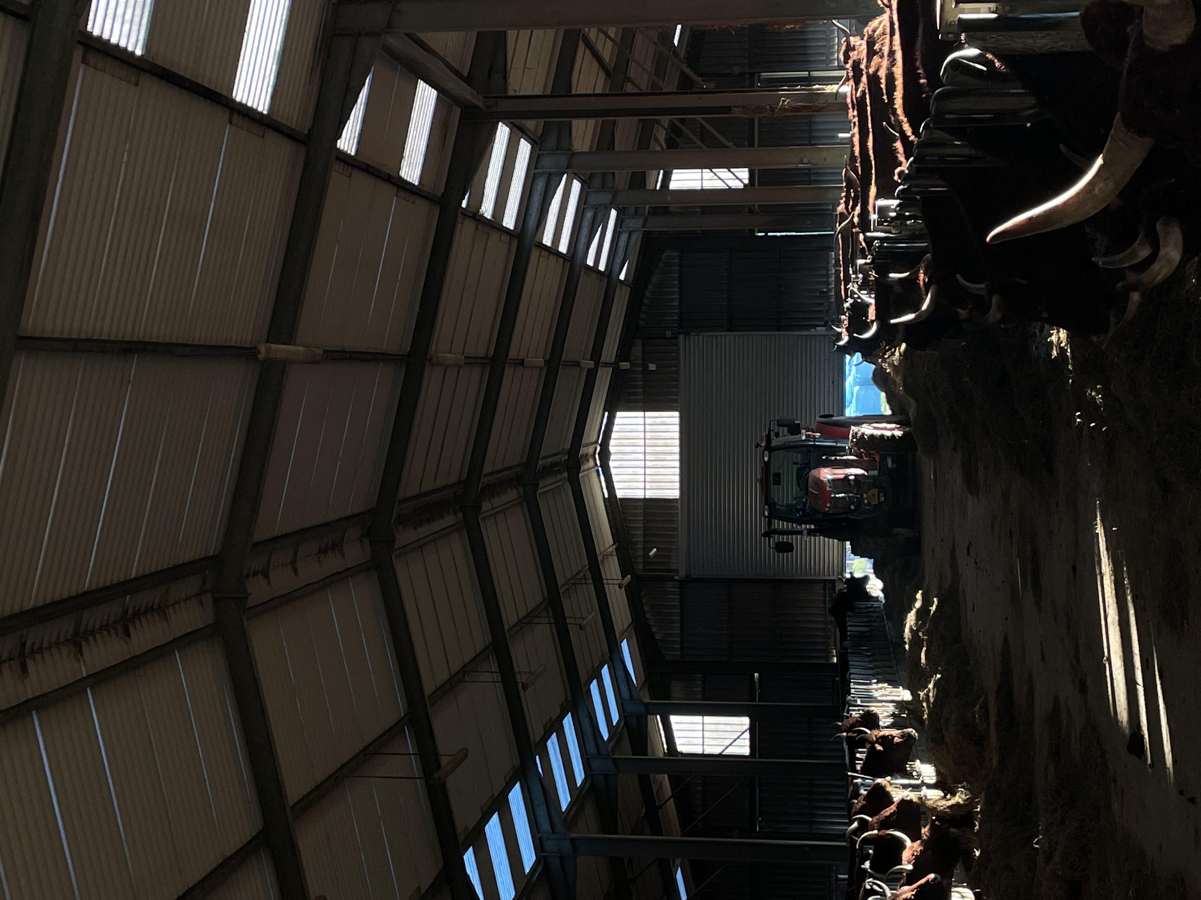 Photo 4 de l'exploitation