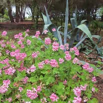 Photo 2 de l'entreprise