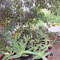 Photo 3 de l'entreprise