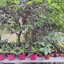 Photo 4 de l'entreprise