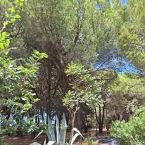 Photo 6 de l'entreprise