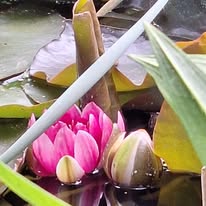 Photo 7 de l'entreprise