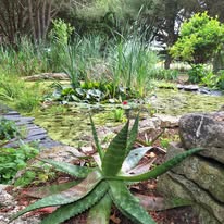 Photo 8 de l'entreprise