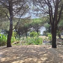 Photo 9 de l'entreprise