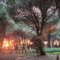 Photo 10 de l'entreprise