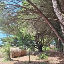 Photo 11 de l'entreprise