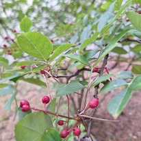 Photo 13 de l'entreprise