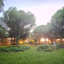 Photo 14 de l'entreprise